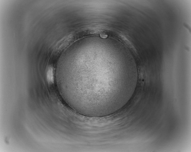 X0000102250026200807251332