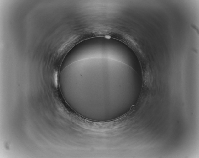 X0000102250027200807251332