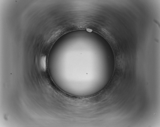 X0000102250028200807251332