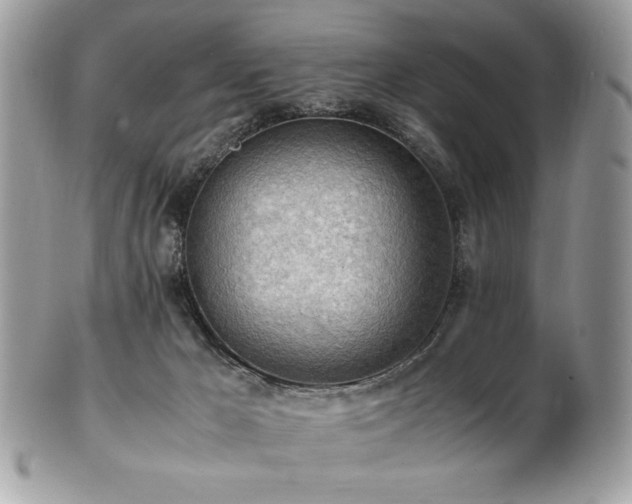 X0000102250029200807251332