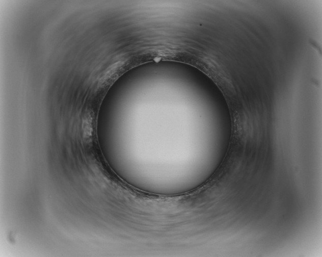 X0000102250032200807251332