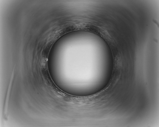 X0000102250033200807251332