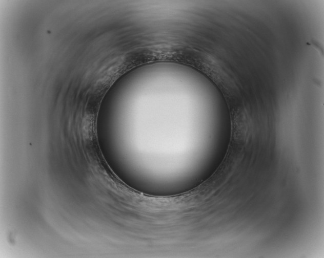 X0000102250034200807251332