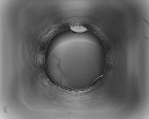 X0000102250035200807251332