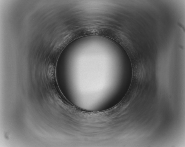 X0000102250036200807251332