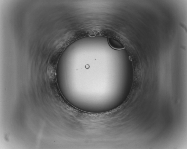 X0000102250037200807251332