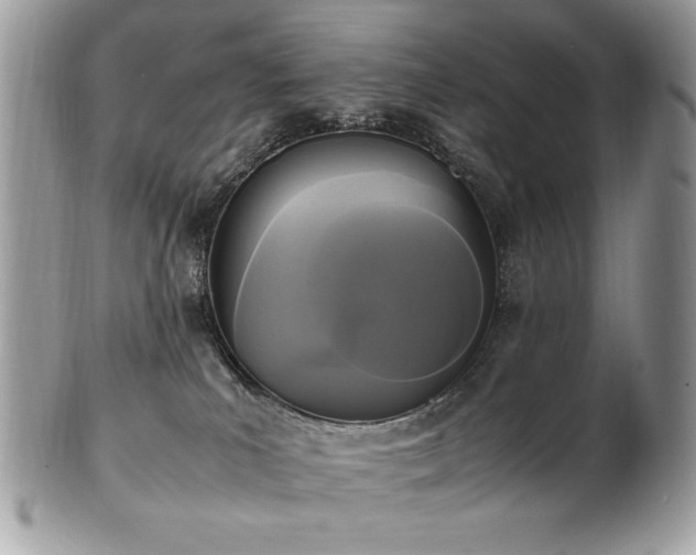 X0000102250039200807251332