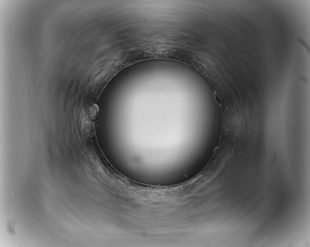 X0000102250040200807251332