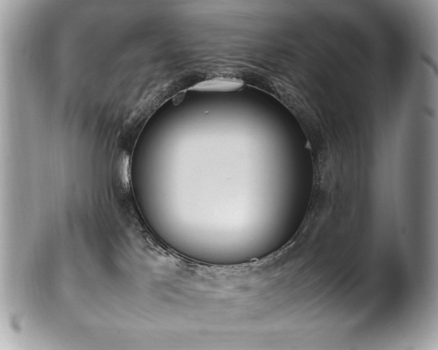 X0000102250041200807251332