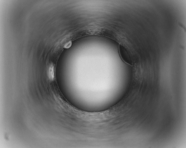 X0000102250042200807251332