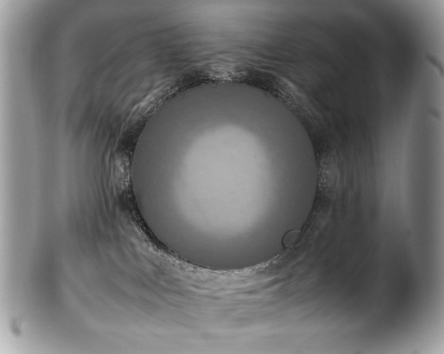 X0000102250043200807251332