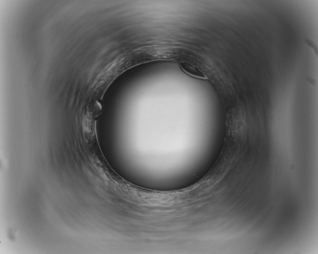 X0000102250044200807251332