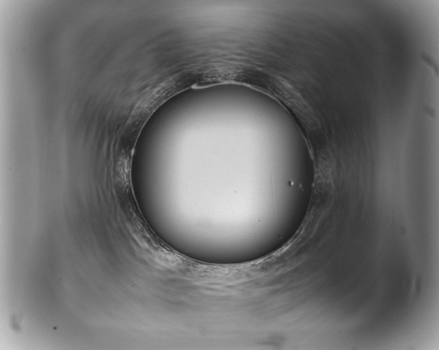 X0000102250045200807251332