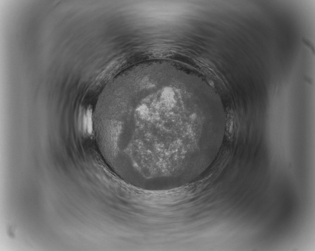 X0000102250046200807251332