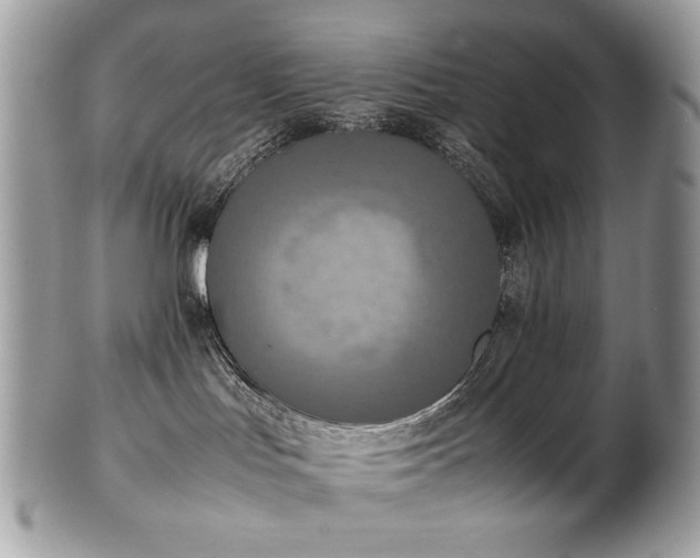 X0000102250047200807251332