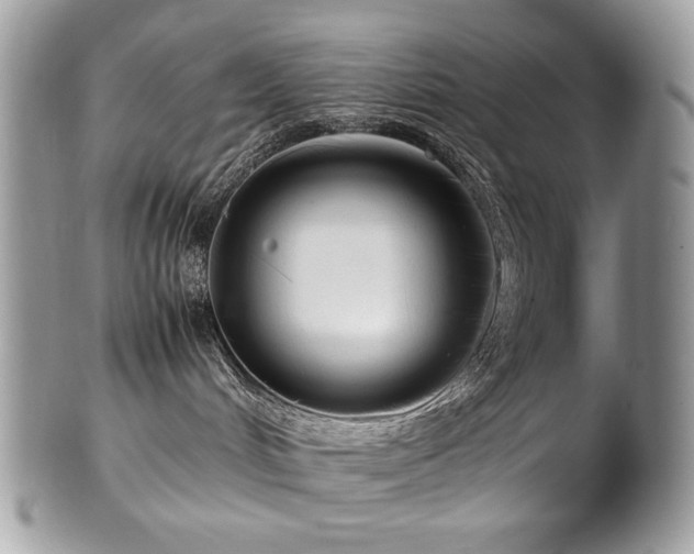 X0000102250048200807251332