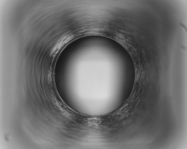 X0000102250050200807251331