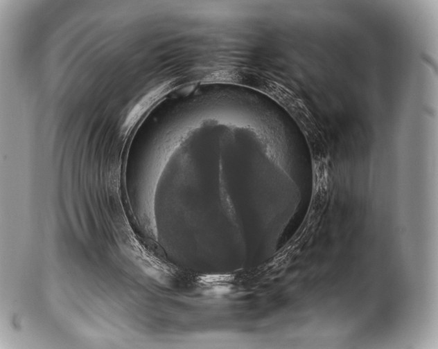 X0000102250051200807251331