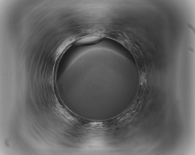 X0000102250052200807251331