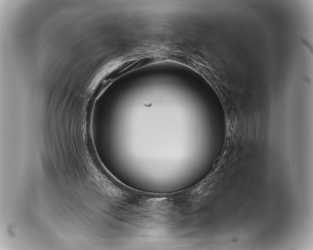 X0000102250054200807251331