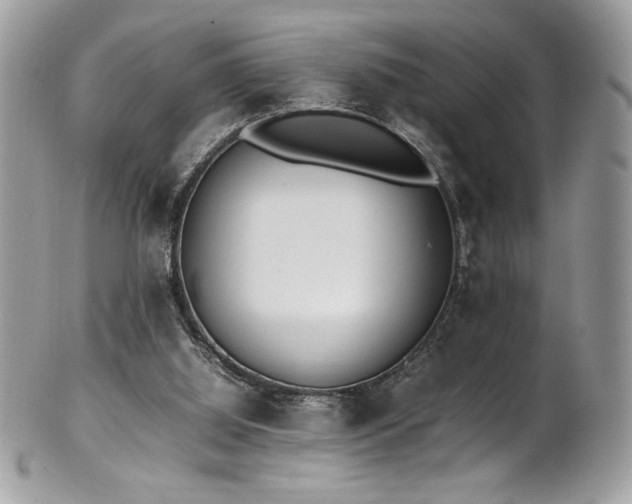 X0000102250060200807251331