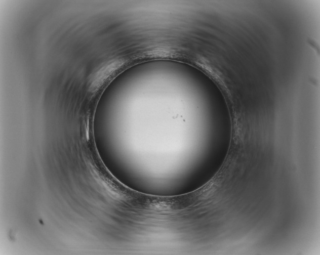 X0000102250062200807251331