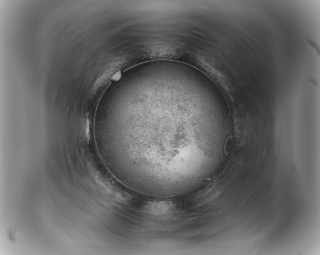 X0000102250067200807251331