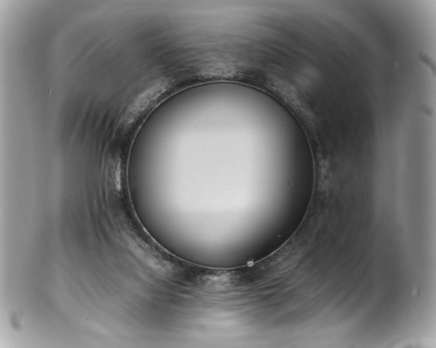 X0000102250068200807251331