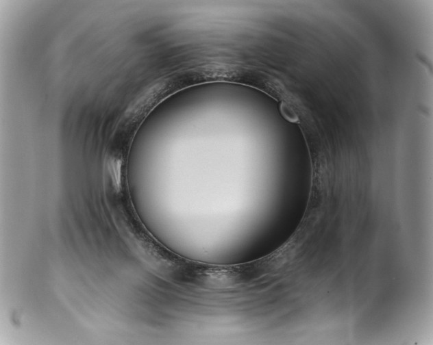 X0000102250070200807251331