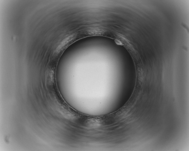 X0000102250071200807251331