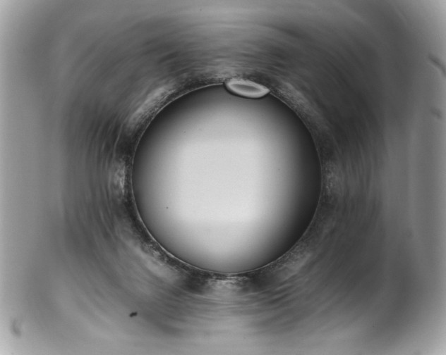 X0000102250072200807251331