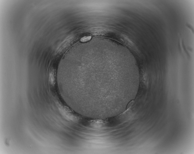 X0000102250074200807251331