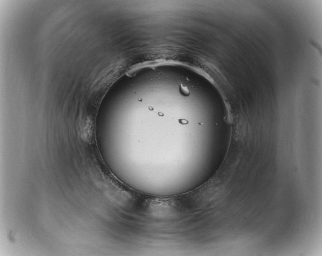 X0000102250077200807251332