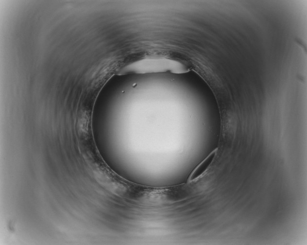 X0000102250078200807251332