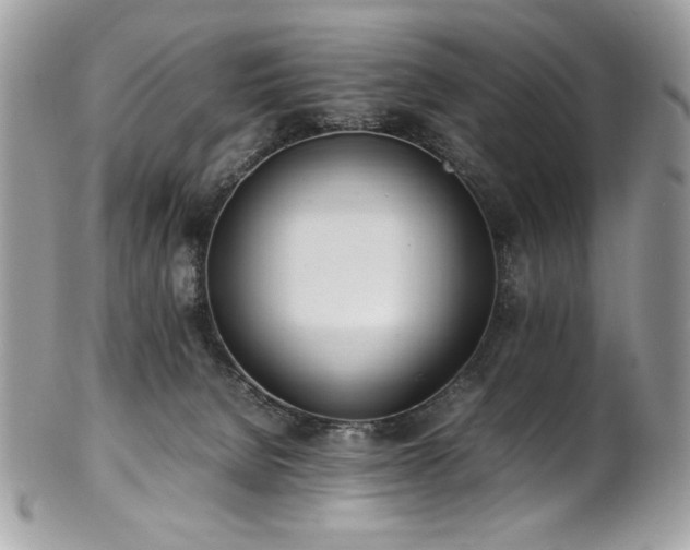 X0000102250080200807251332