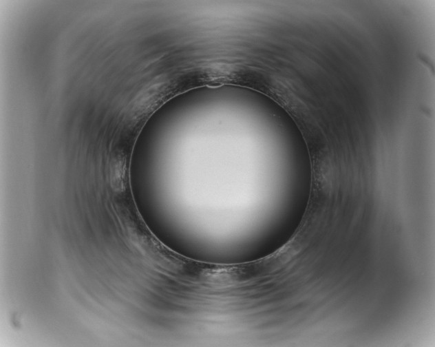 X0000102250082200807251332