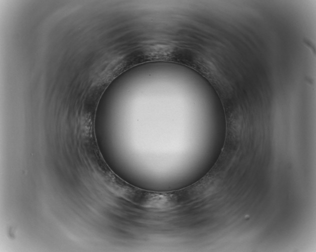 X0000102250083200807251332