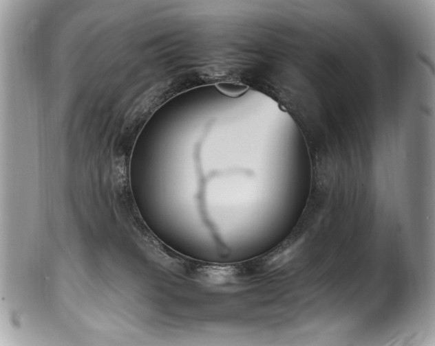 X0000102250085200807251332