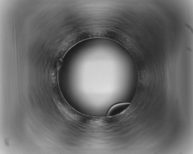 X0000102250086200807251332