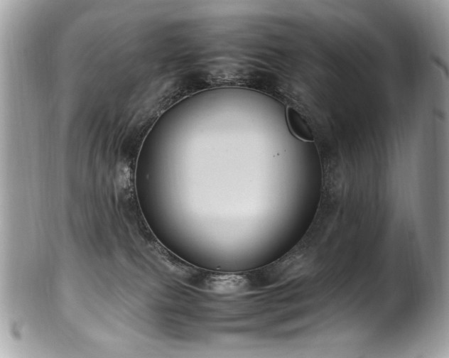 X0000102250087200807251332