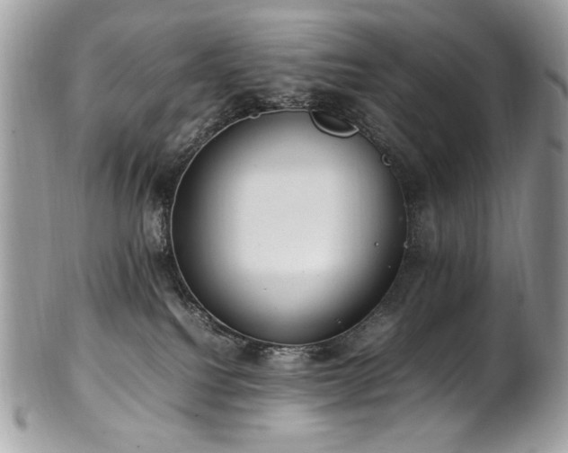 X0000102250088200807251332