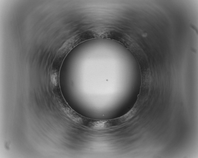 X0000102250090200807251332