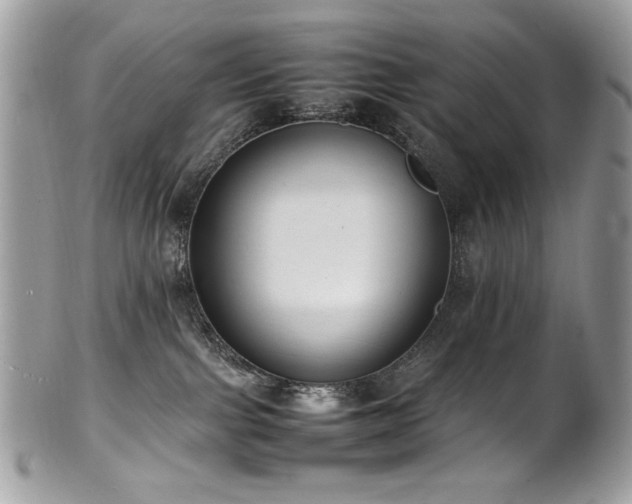 X0000102250091200807251332