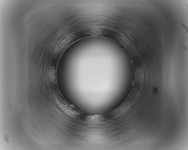 X0000102250092200807251332