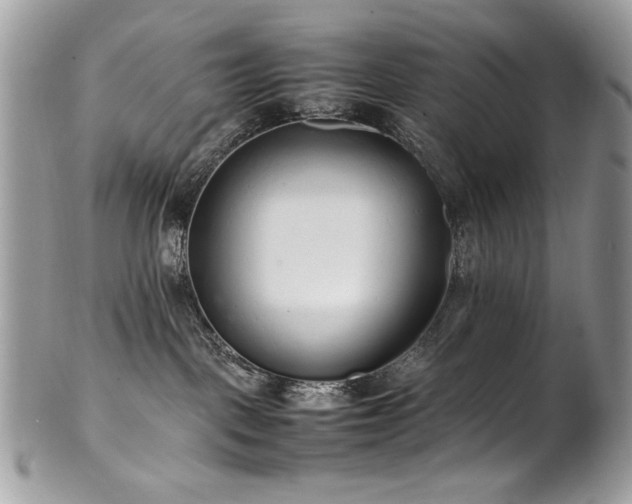 X0000102250093200807251332