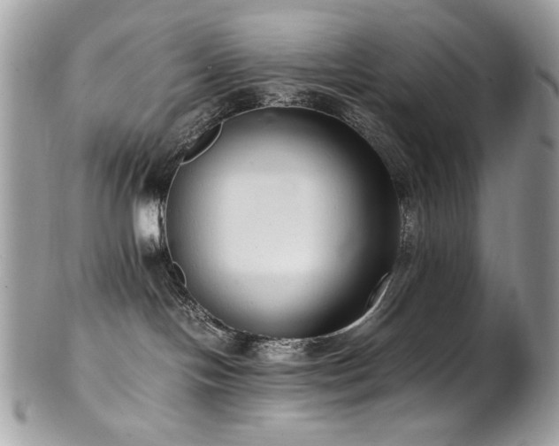 X0000102250094200807251332