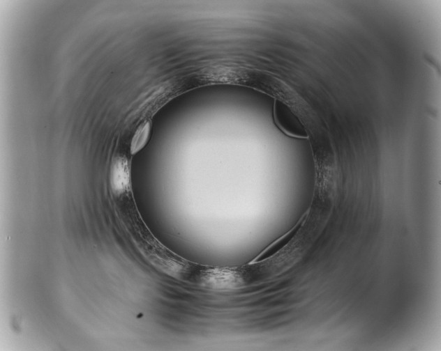 X0000102250095200807251332