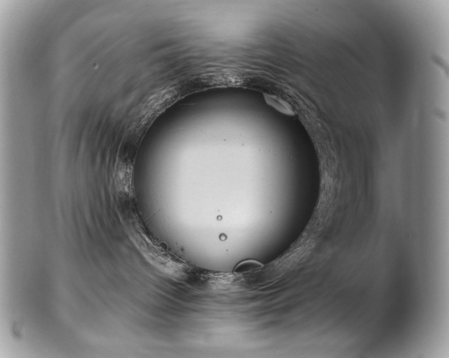 X0000102250096200807251332