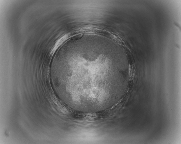 X0000102250099200807251331