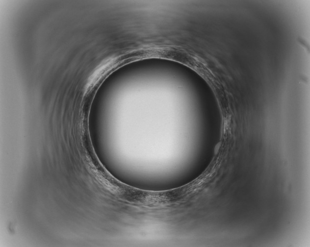 X0000102250101200807251331